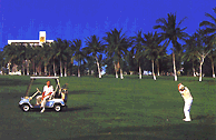 golf in mazatlan, golf courts in mexico, golf in mexico