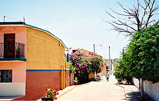 Mexican holidays in El Quelite, Mexico.