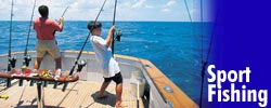 deep sea fishing, mexico fishing, Mazatlan Sportfishing