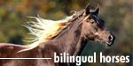 bilingual horses